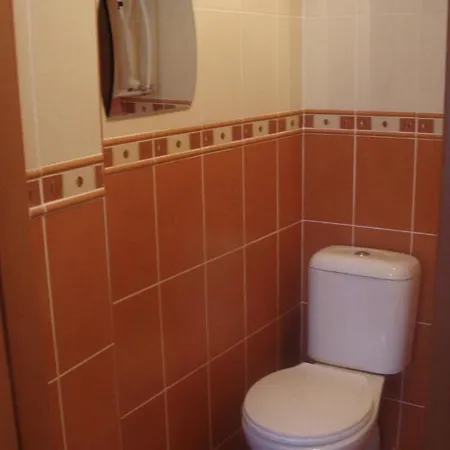 отдельно стоящий домик Apartment *